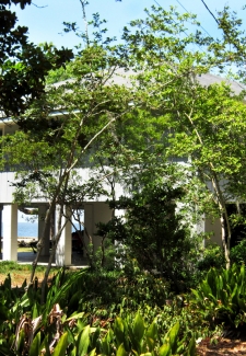 Lake House
